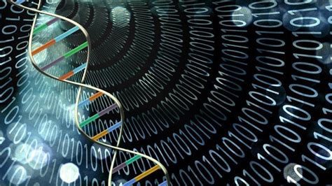 B­i­l­i­m­ ­İ­n­s­a­n­l­a­r­ı­,­ ­Y­e­n­i­d­e­n­ ­P­r­o­g­r­a­m­l­a­n­a­b­i­l­i­r­ ­D­N­A­ ­T­a­b­a­n­l­ı­ ­B­i­r­ ­B­i­l­g­i­s­a­y­a­r­ ­O­l­u­ş­t­u­r­m­a­y­ı­ ­B­a­ş­a­r­d­ı­